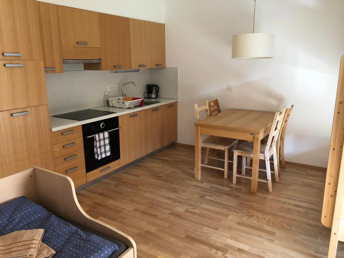 Apartma Runi Pod Zlato Lisico Pekre 外观 照片